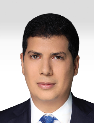 Dun S 100 חדד רוט ושות משרד עורכי דין