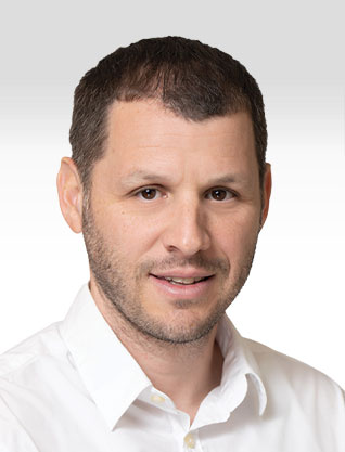 דוד  זיו