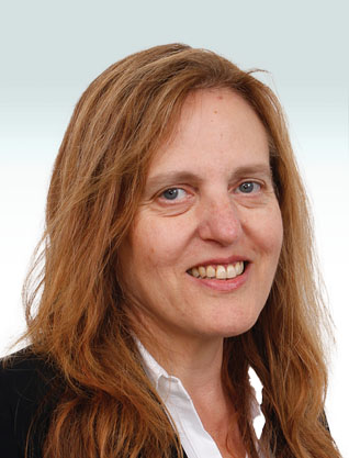 Karni Gilon, Verint