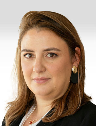 Hadas  Michaeli, Hadas Michaeli Law Office